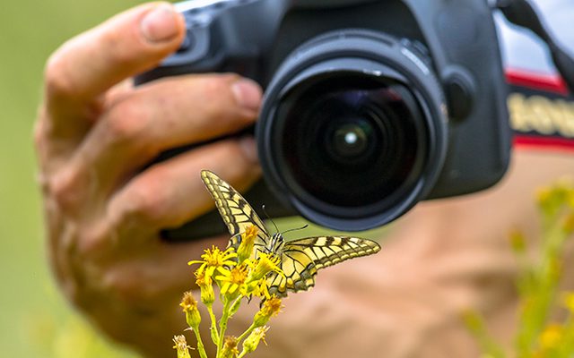 Fotografi makro