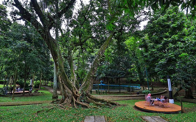 Taman Maluku.