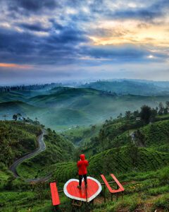 alam bandund Perkebunan Teh Cukul