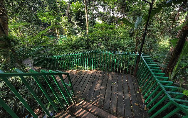Tempat Asri di Bandung Hutan Kota Babakan Siliwangi