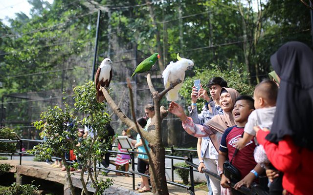 Kebun Binatang Bandung Zoo